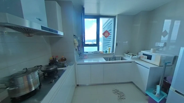 Dongfang Yingdu Starlang - View 8