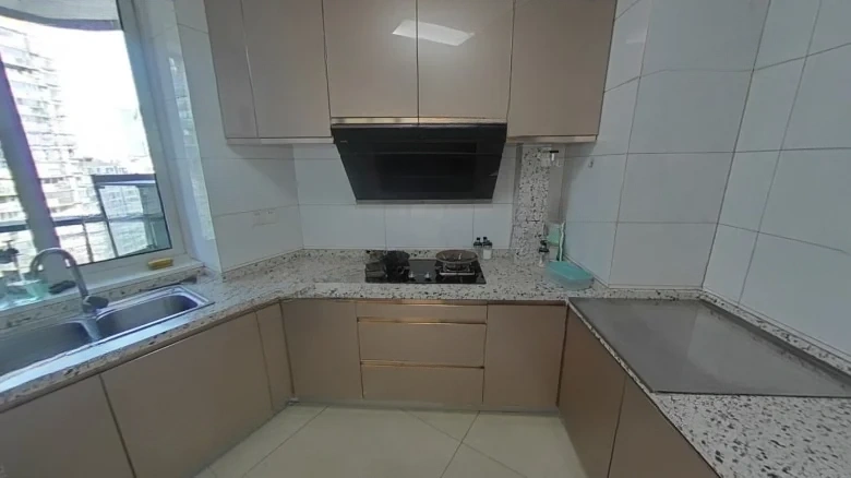 Zhan Cheng Lin Feng Qin林Yuan - View 11