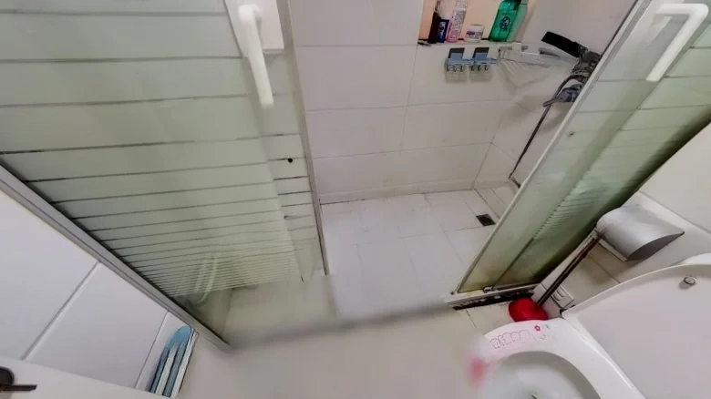 Hejing Diecuifeng - View 1