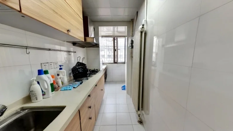 Wangyuan West Li - View 5