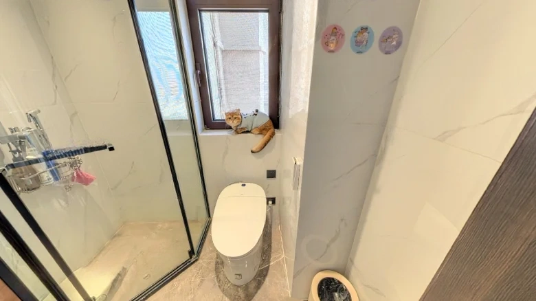 Hanlin Magnificent Mansion - View 7