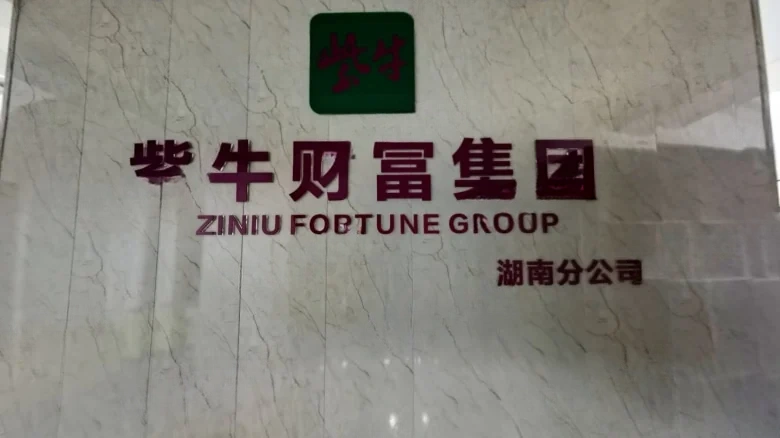 Huijin International - View 4