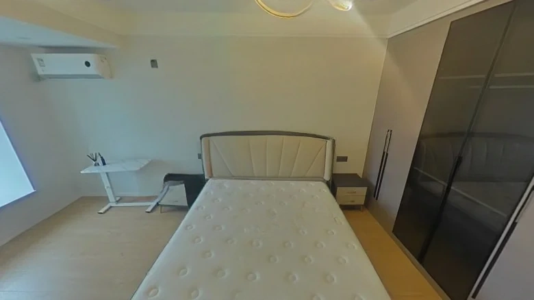 Dongyuan 1891 - View 4