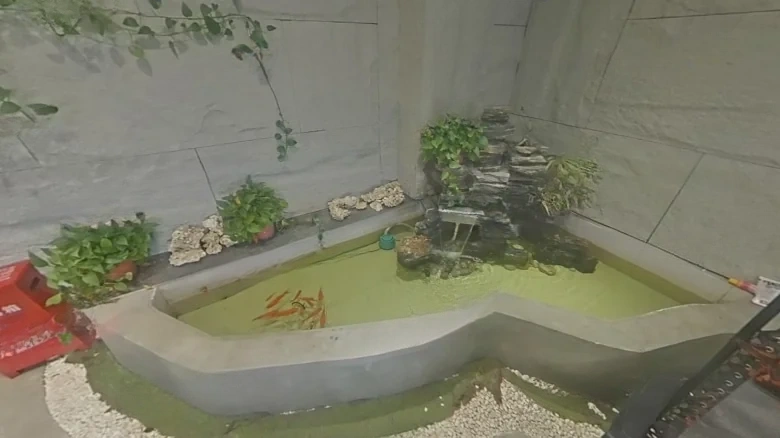 Prosperity City - View 14