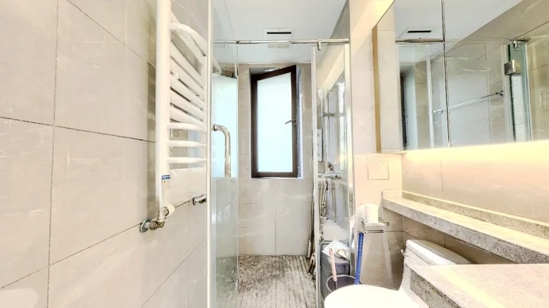 Rising Radiance Silver盛泰Zest Right Sun Mansion - View 8