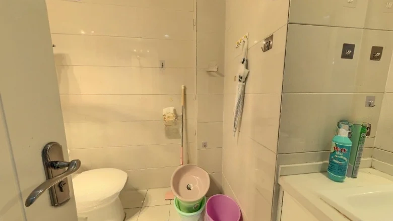 Golden Dragon Tower Complex - View 3