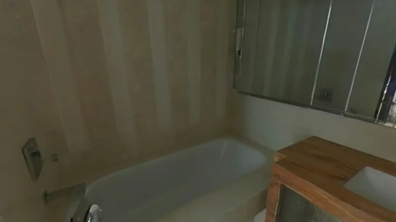 New World Ming Long - View 5