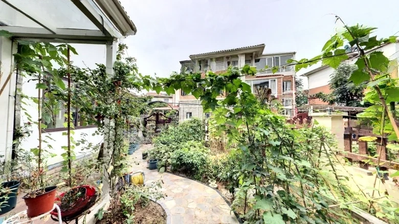 Jinling Family Rules the World - View 13