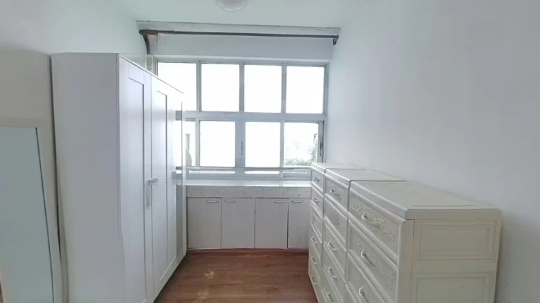 Palm Garden - View 3