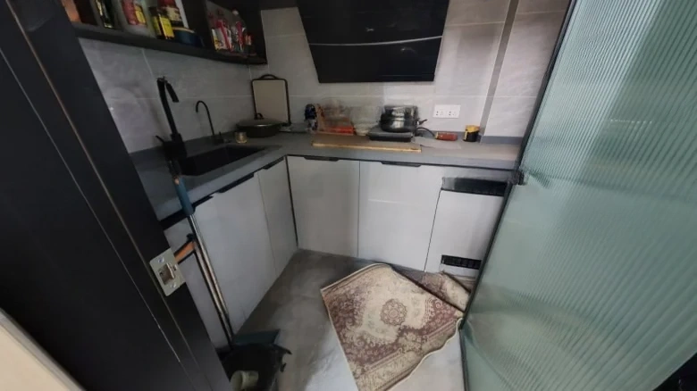 Ode to Joyfulness - View 6