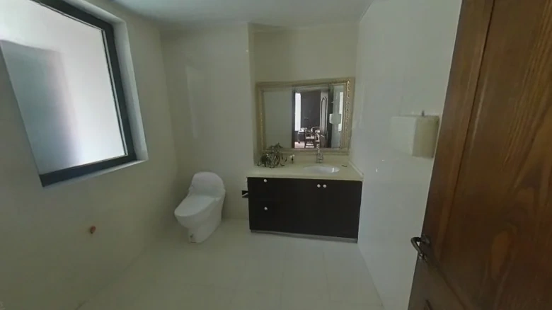 Poly Real Roland Sea Coast - View 14