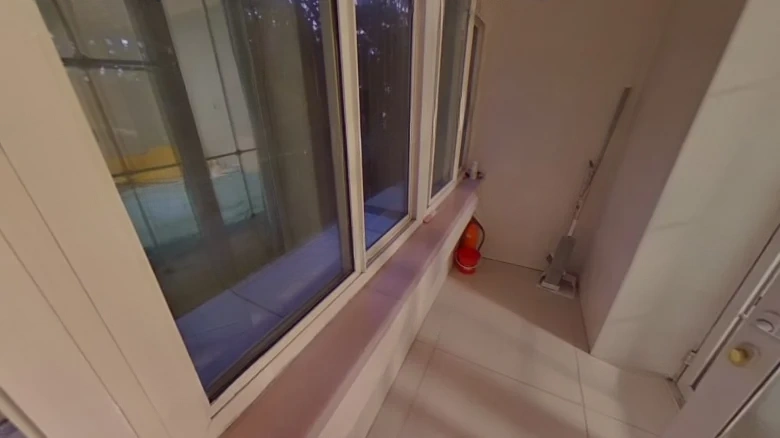 Zaojun East Li - View 7