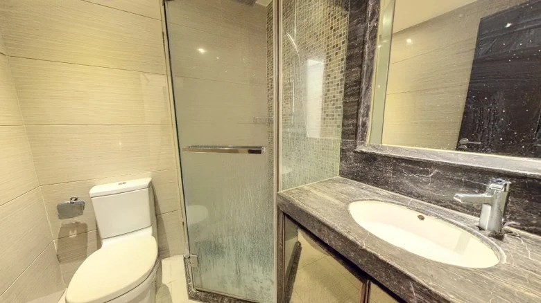 Poly Central Park - View 13