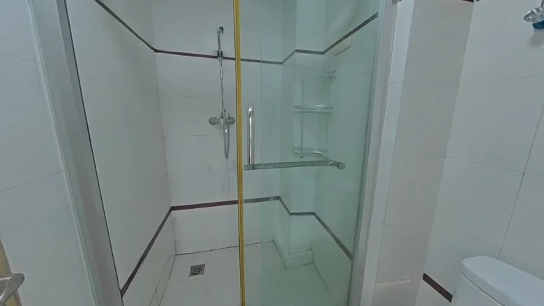 Jingjiang City Garden - View 6