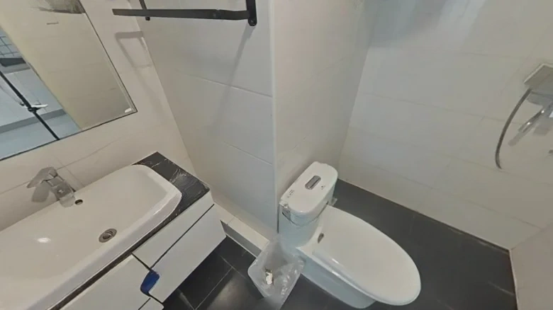 CBD Capitol - View 8