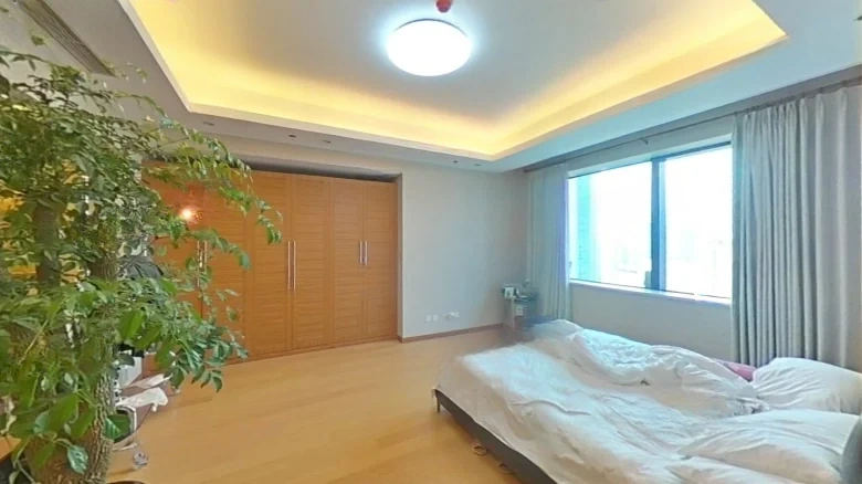 Shimao Platinum Crystal Palace - View 2