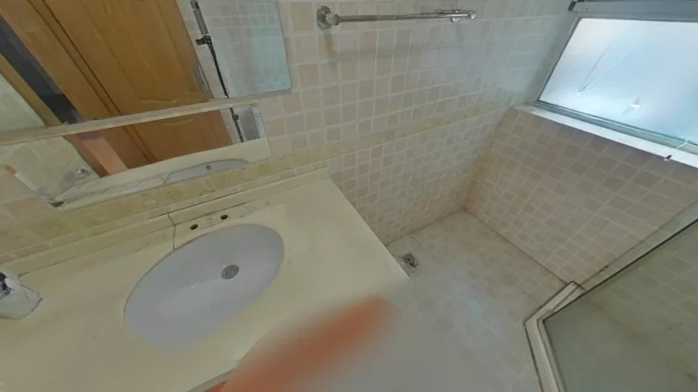 Zhan Cheng Lin Feng Qin林Yuan - View 9