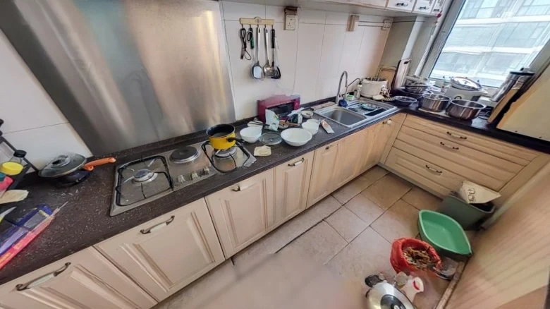 Li Shan Ming Jun - View 7