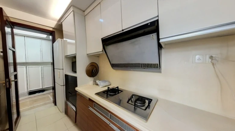 Pearl River Huajing Li - View 8