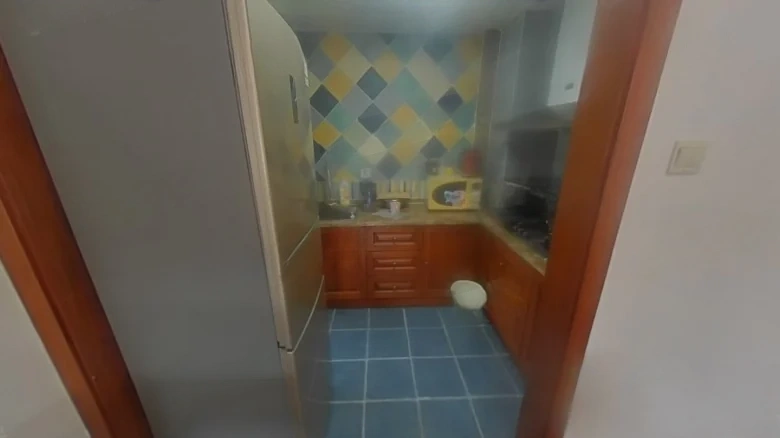 China Ocean Sena Lishè West Garden - View 5