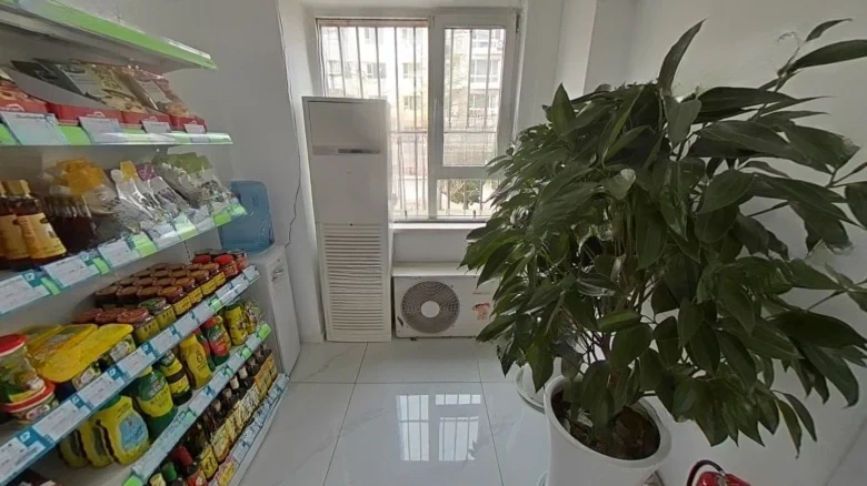 Eastern Garden of Jin City - View 9