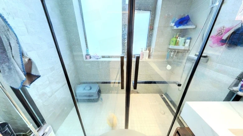 Tianshan Xihu Phase II - View 7