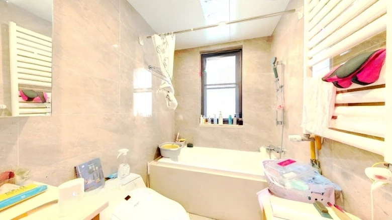 JinDi YueFeng - View 8