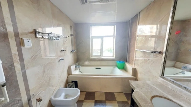 Tianqing Rhein Town - View 12