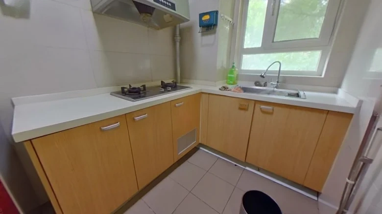 Golden Land Green Green - View 4