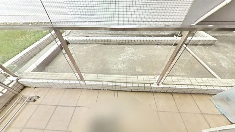 Star Confluence Elegance Garden - View 12