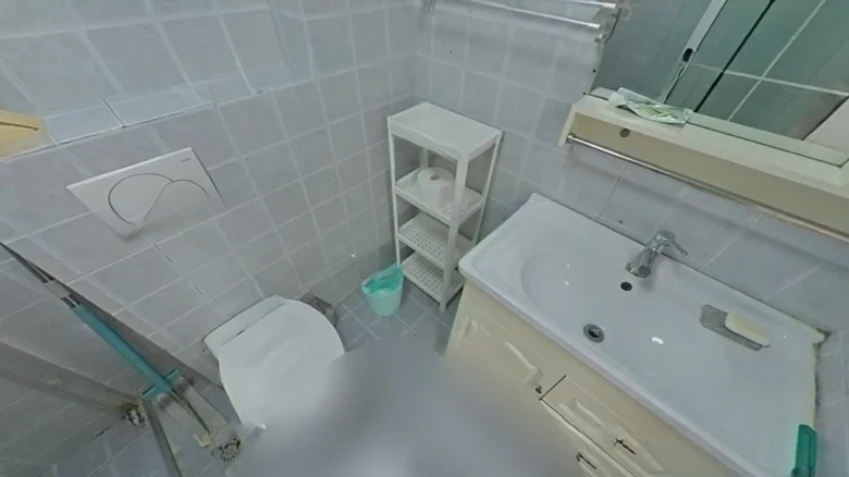 Star Shower Splendor Manor - View 8