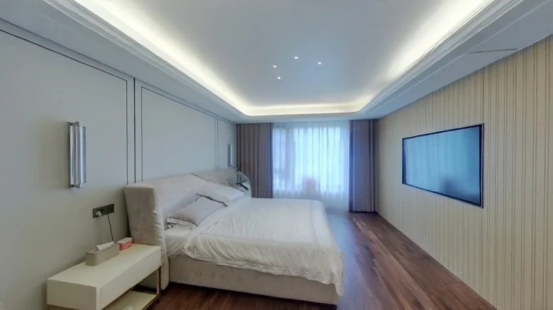 Jinglin Original Manuscript - View 5