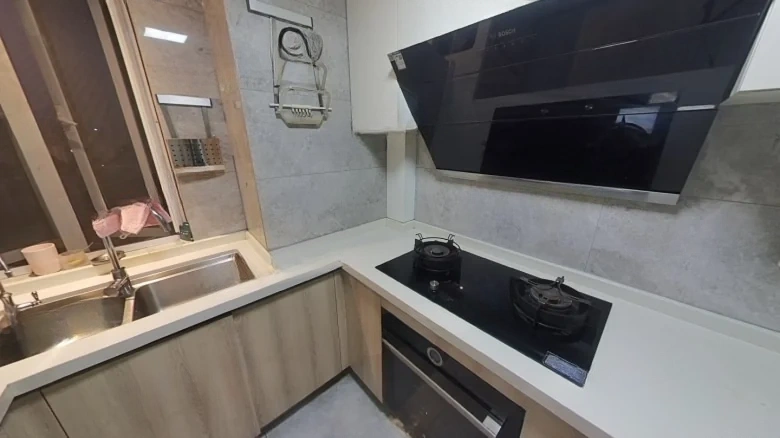 Purple Palace Inscribed Dwelling - View 5