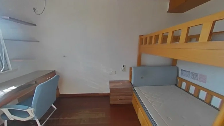 New China City - View 3