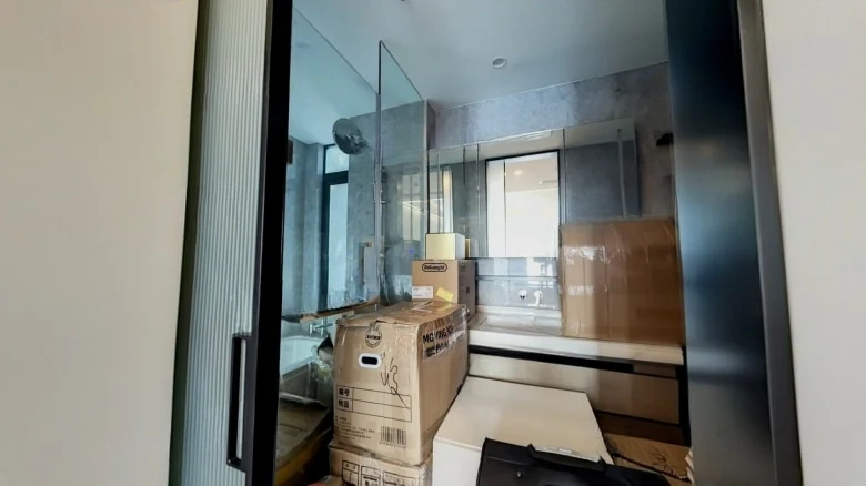 Rising Sun辉·Platinum Delight Xiangjiang - View 11