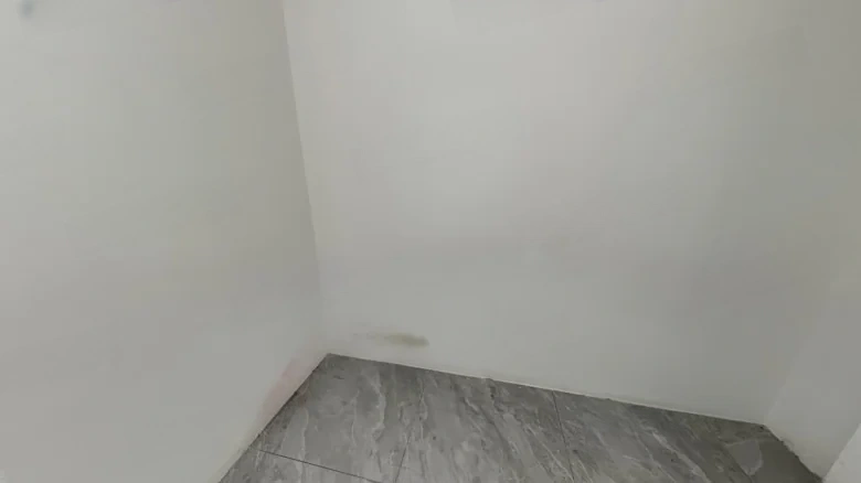 Hongfu Mansion - View 4