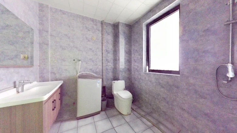 Poly Real Roland Sea Coast - View 13