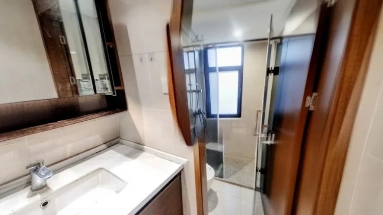 Commercial Mansion 1872 - View 9