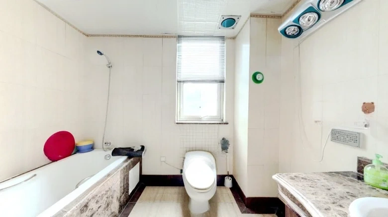 Lingshi Huafu Mansion - View 8