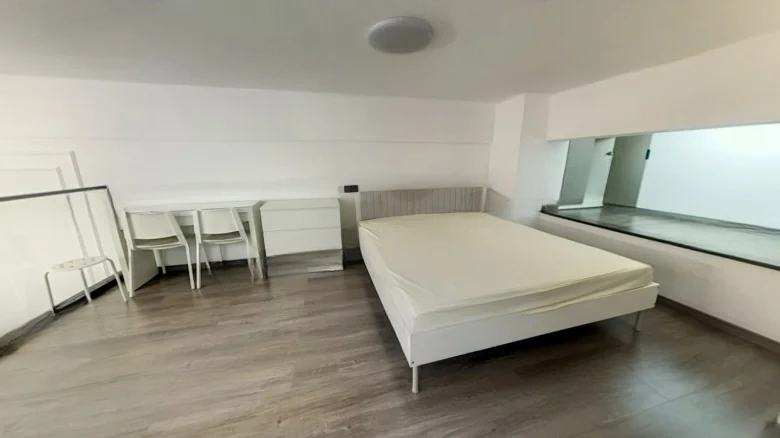 Mansion above Canglong Lake - View 2