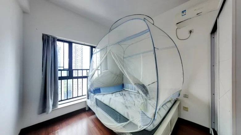 Pazhou Xin Village - View 2