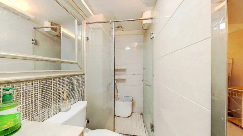 Equestrian Imperial Manor Courtyard - View 5