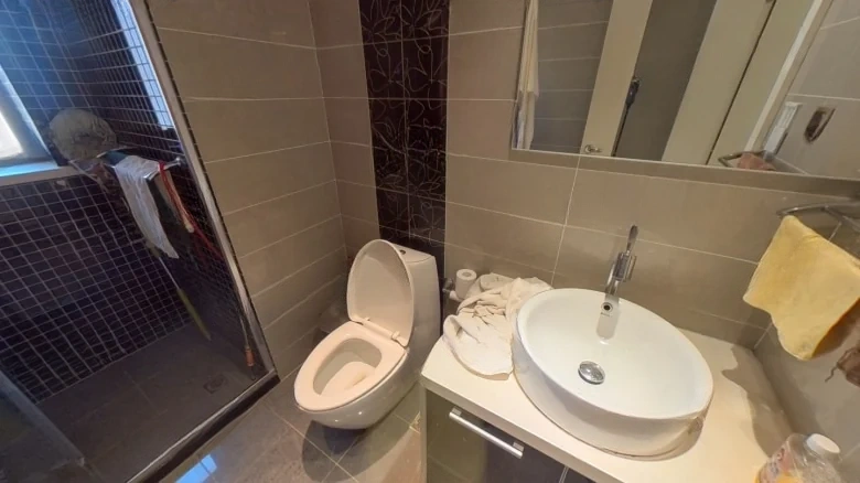 Shimao Xin Wulihu - View 7