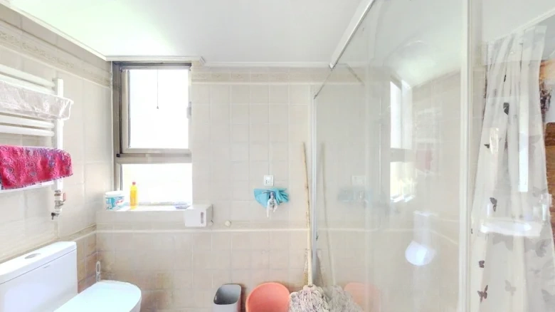 Regal Scene Eastward - View 8