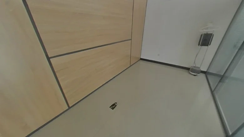 Oriental Goldstone - View 5