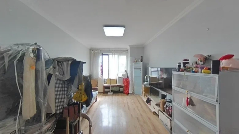 Joyful Wave Premium Collection - View 3