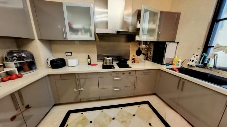 Xinghewan Peninsula Phase IV - View 10