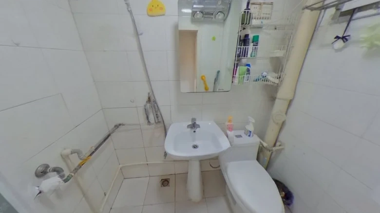 Pingyuan Garden Residential Area - View 5