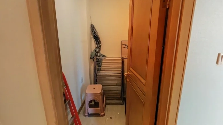 Everyone's Emerald City Golden Phoenix Mansion - View 14