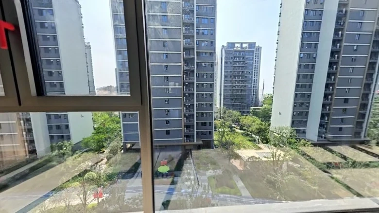 Linkfa Puli Zhen He Ya Song - View 21